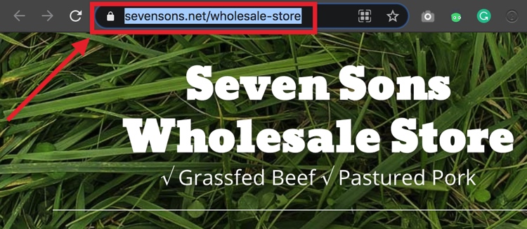 wholesale_store_link.jpg